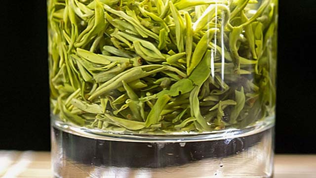 重庆永川名茶——永川秀芽