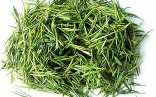 喝永川秀芽茶对身体有什么好处