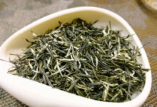 喝永川秀芽茶有什么好处，盘点永川秀芽茶的七大功效-茗扬网