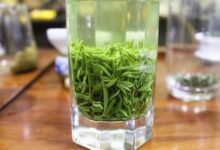 永川秀芽是什么档次 永川秀芽和碧螺春哪个好-茗扬网