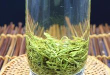 永川秀芽的功效与作用 喝永川秀芽的好处-茗扬网