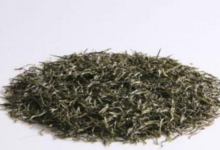 永川秀芽怎么泡 适合什么人喝-茗扬网