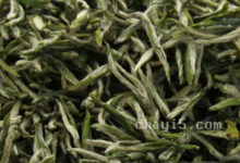 永川秀芽的功效与作用 永川秀芽的禁忌事项-茗扬网