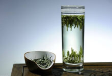 永川秀芽的冲泡方法，7步泡出好喝的永川秀芽-茗扬网