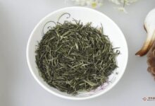 永川秀芽专业版储存方法-茗扬网