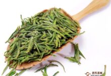 永川秀芽怎么保存？保存永川秀芽的禁忌事项-茗扬网