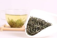 喝英山云雾茶有什么好处，盘点英山云雾茶的七大功效-茗扬网