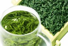 英山云雾茶的功效与作用 英山云雾茶的制茶工艺步骤-茗扬网