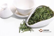 英山云雾茶保存禁忌，保存英山云雾茶的注意事项-茗扬网