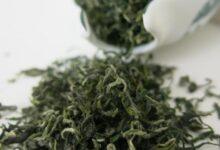 英山云雾茶的功效与作用 英山云雾茶属于什么茶-茗扬网