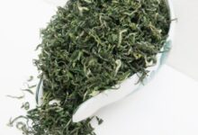 英山云雾茶如何冲泡 英山云雾茶的正确泡法-茗扬网