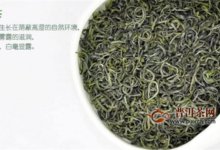 英山云雾茶是绿茶吗-茗扬网