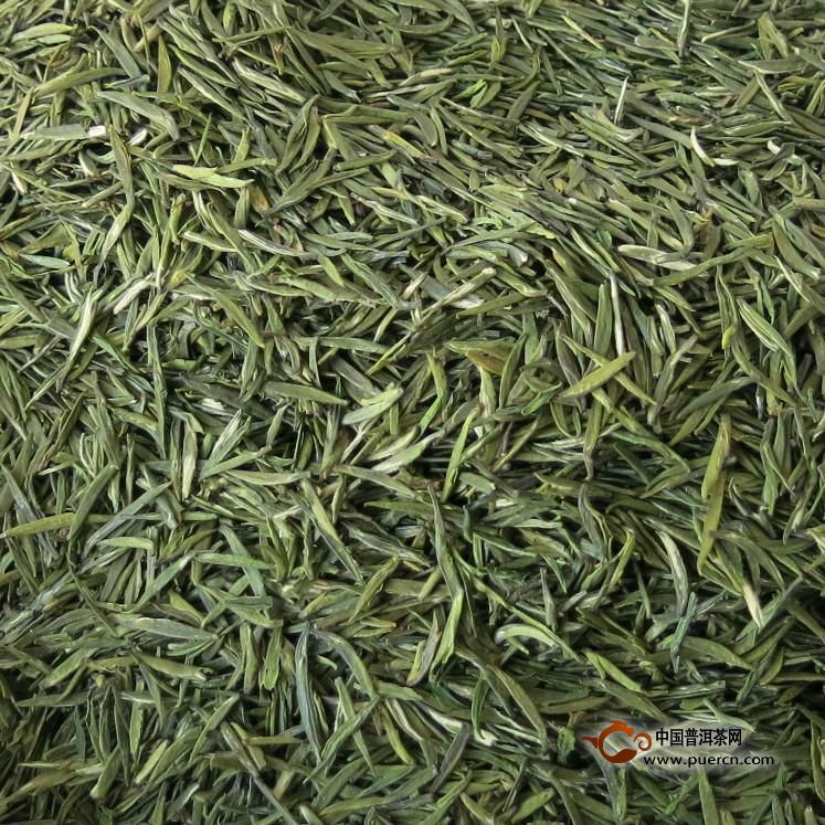 英山云雾茶春茗的制作