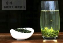 英山云雾茶如何做 英山云雾茶的制茶工艺-茗扬网