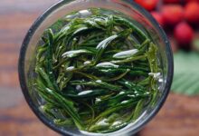 顾渚紫笋是什么茶-茗扬网