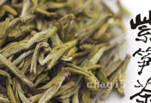 茶叶顾渚紫笋的作用与禁忌-茗扬网