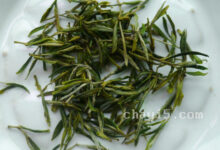 顾渚紫笋的功效与作用 顾渚紫笋的泡法-茗扬网