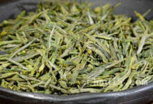 顾渚紫笋的功效与作用 顾渚紫笋的禁忌事项-茗扬网