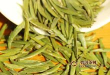 顾渚紫笋茶如何冲泡-茗扬网