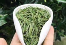 顾渚紫笋的功效与作用 顾渚紫笋的副作用-茗扬网