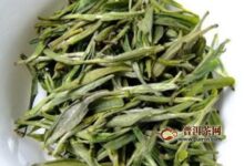 顾渚紫笋茶有哪些禁忌-茗扬网