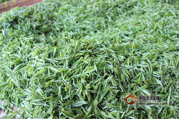 顾渚紫笋茶的功效作用