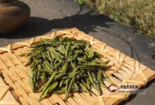 顾渚紫笋为什么不出名-茗扬网