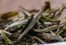 无锡毫茶是什么茶-茗扬网