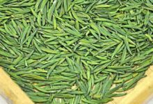 无锡毫茶是什么茶 无锡毫茶的功效与作用-茗扬网