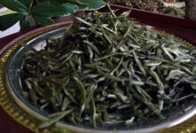 镇江金山翠芽是什么茶-茗扬网