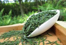 喝金山翠芽茶有什么好处，盘点金山翠芽茶的七大功效-茗扬网