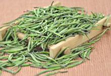 金山翠芽的功效与作用 金山翠芽泡法-茗扬网