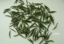 金山翠芽的冲泡方法，7步泡出好喝的金山翠芽-茗扬网