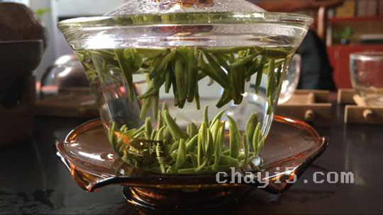 金山翠芽的冲泡方法，7步泡出好喝的金山翠芽