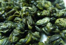喝涌溪火青茶有什么好处,盘点涌溪火青茶的七大功效-茗扬网