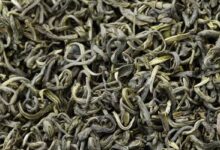 喝碣滩茶对身体有什么好处-茗扬网