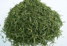 喝碣滩茶有什么好处，盘点碣滩茶的七大功效-茗扬网