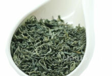 碣滩茶的功效与作用 碣滩茶的禁忌事项-茗扬网