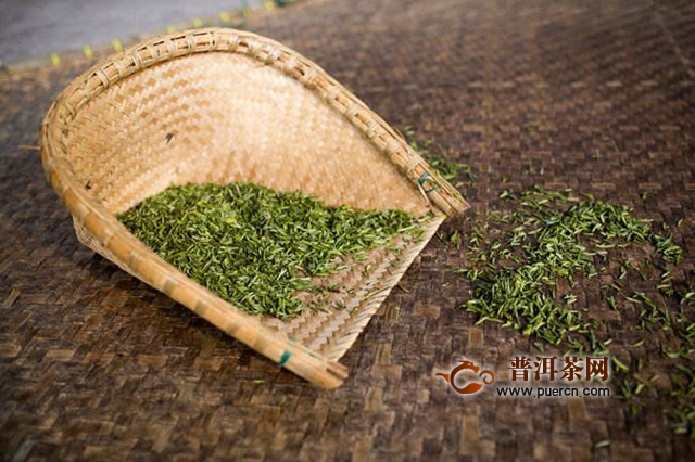 碣滩茶怎么制作？碣滩茶制作工艺