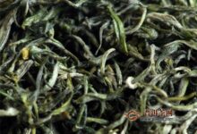 碣滩茶有什么功效-茗扬网