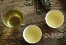 碣滩茶怎么冲泡好喝-茗扬网