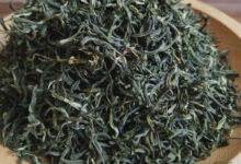 西山茶的功效与禁忌事项-茗扬网