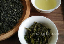 茶叶西山茶的作用与禁忌-茗扬网