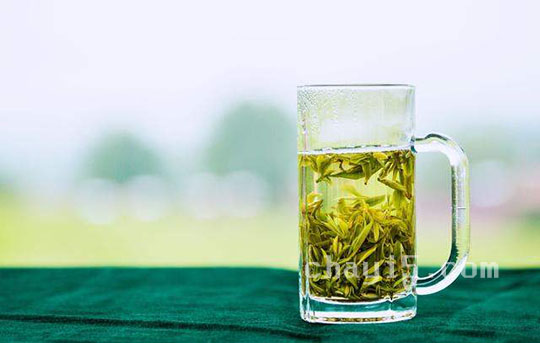 茶叶敬亭绿雪的作用与禁忌