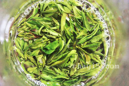 茶叶敬亭绿雪的作用与禁忌