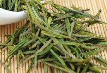 敬亭绿雪的功效与作用 敬亭绿雪什么时候喝最好-茗扬网