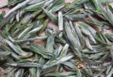 敬亭绿雪的制作工艺-茗扬网