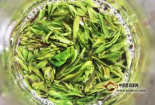 敬亭绿雪茶怎么泡-茗扬网