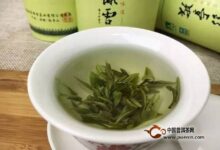 敬亭绿雪好喝吗-茗扬网