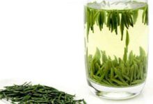 兰馨雀舌的功效与禁忌事项-茗扬网